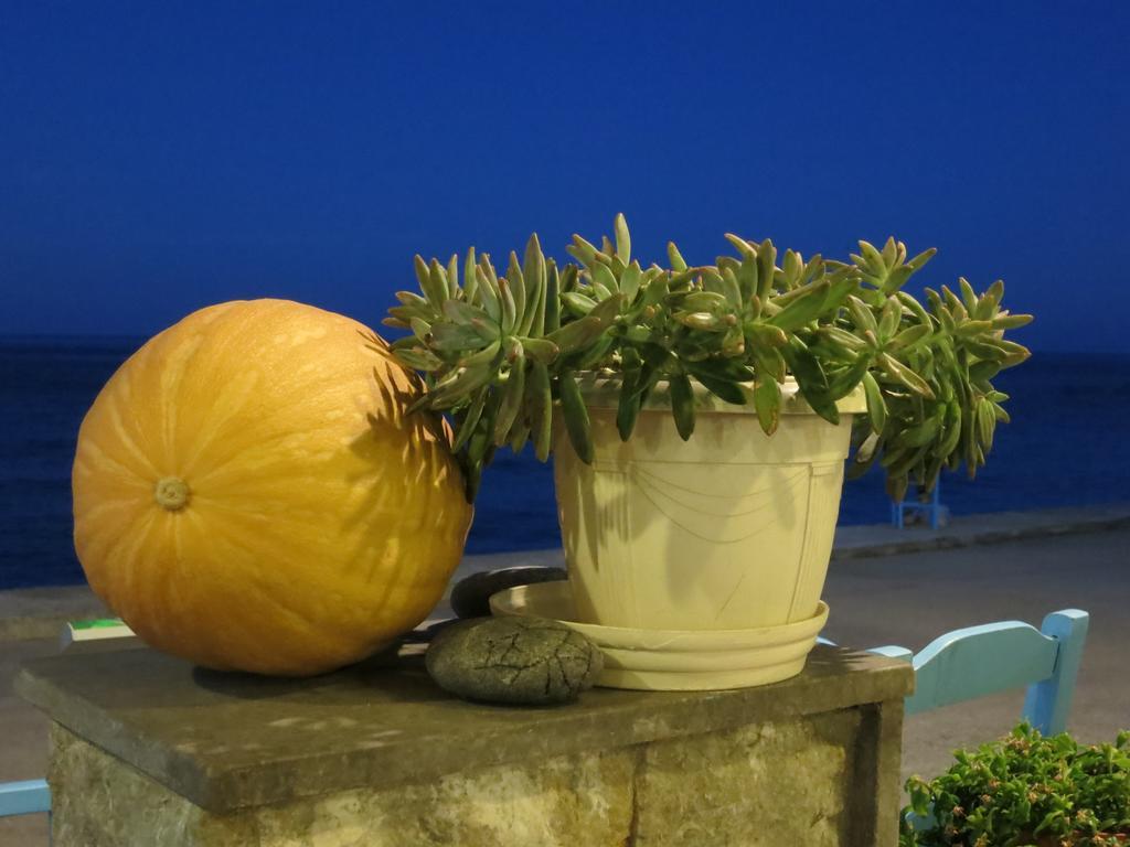 Socrates Apartmens & Restaurant ميلاتوس المظهر الخارجي الصورة