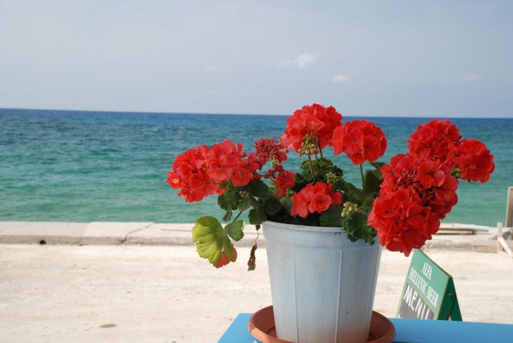 Socrates Apartmens & Restaurant ميلاتوس المظهر الخارجي الصورة